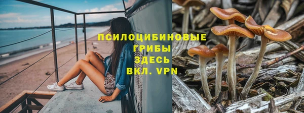 альфа пвп Приозерск