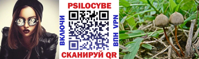 Галлюциногенные грибы Magic Shrooms  Киренск 